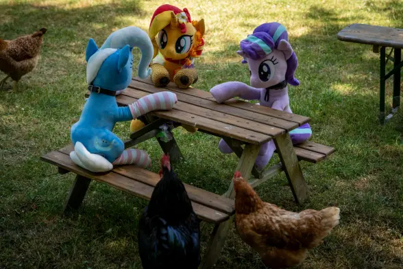 Sunset, Trixie and Starlight plushies sitting on a small bench table. In front some chickens checking out the scene.