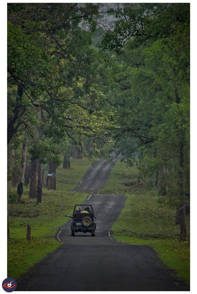 a narrow stretch of tar road, cutting between green jungle on both sides. you can see a jeep in the middle of the frame with people sitting in it (heading away from the photographer)