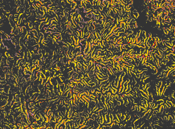 A map of slopes on black background. From yellow (litlle slope to purple (strong slope) drawing convolutions