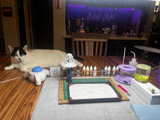Painting area that displays a painting wet pallet, bottles of various paint colors, water paint can, unpainted mini and a judgy cat