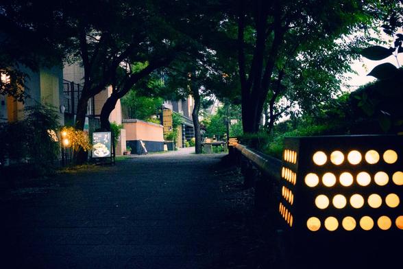 川端通の内、三条通～四条通間で「花の回廊」の一部として整備されている東側の歩道の景色。/ 2025.06.21 川端新門前通角あたり