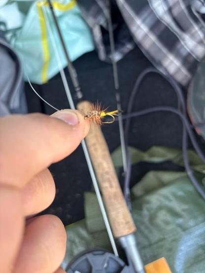 anyone know what you call this fly?
