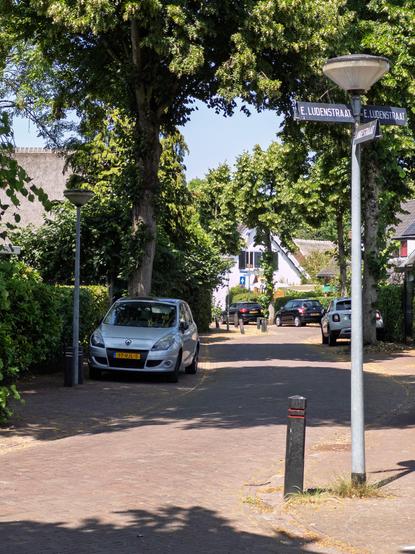A quiet residential street with cars parked under trees.