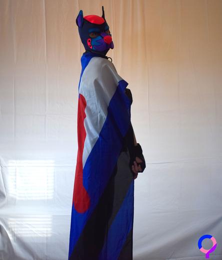 Picture of Qoppa stood up straight with a puppy pride flag wrapped around them like a cape.