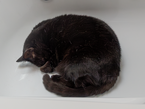 A black cat is curled up asleep in the bathtub