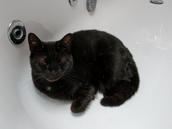 A black cat is lying in the bathtub, looking at the camera through half closed eyes.