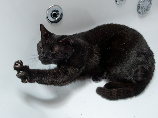 A black cat is lying in the bathrub, stretching out one paw in front of her in a greeting gesture.  She’s hoping to have her ears rubbed by her human.