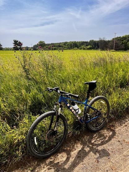 A mountain bike rests on a gravel path next to a field of tall grasses and wildflowers. The background features a lush green landscape under a clear blue sky.