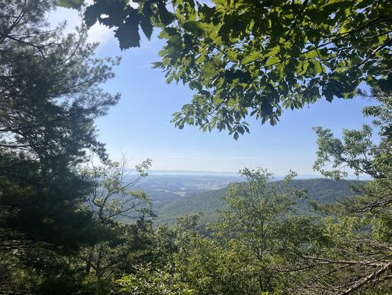 View from near Grindstone Mountain looking towards Mt. Solon.