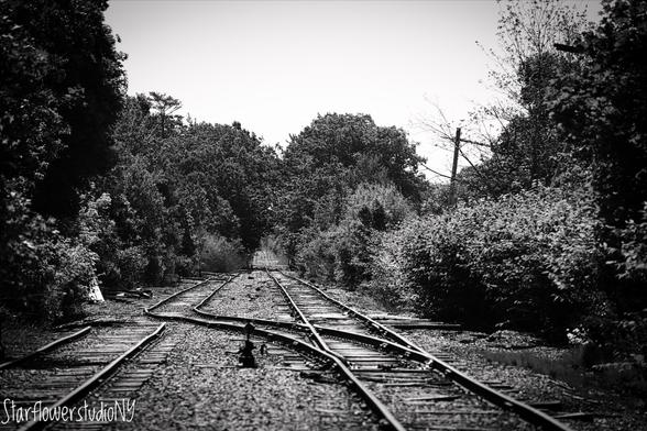A black and white photo of railroad lines with a track intersection, surrounded by vegetation.