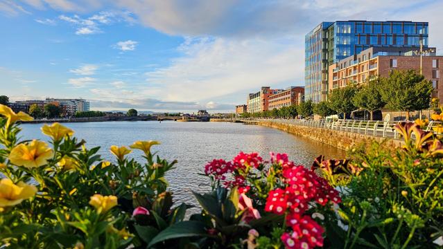 A vibrant riverside scene in Limerick, Ireland, bathed in the warm glow of late afternoon sun. In the foreground, colourful yellow and pink flowers are in bloom, framing a wide river. On the right bank, modern buildings with glass facades line the water, interspersed with trees, while the left bank shows more distant city architecture under a partly cloudy blue sky.