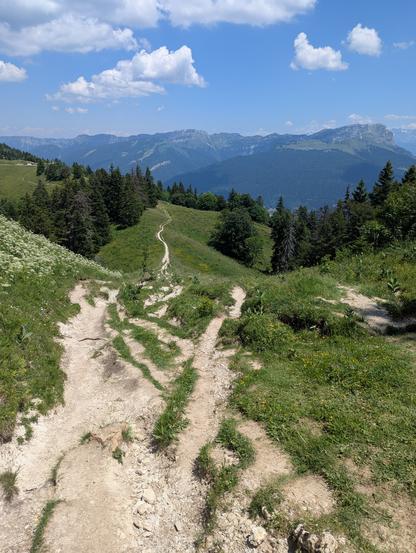 Un chemin au tracé sinueux, qui semble d'abord fait de plusieurs petits chemins emmêlés comme une tresse, descend le long de la montagne dans une prairie parsemée d'arbres.