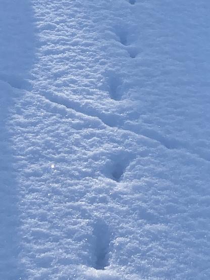 Spuren im Schnee.