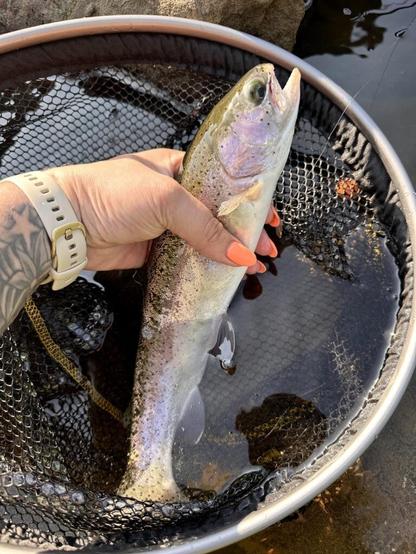 Temps are getting warmer, but I’ll take what I can get. Second bow on the fly since starting a month ago. Successfully c&r this time!