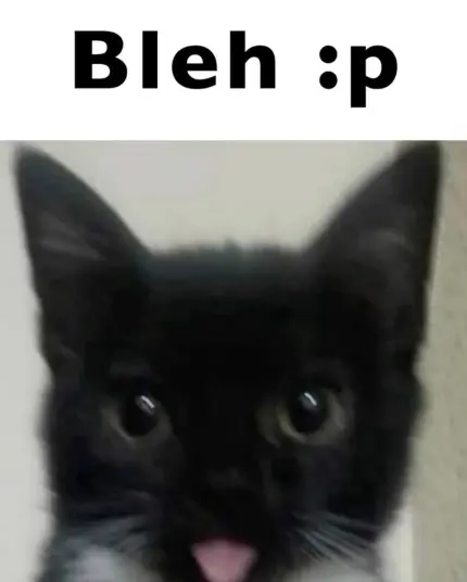 Bleh :p