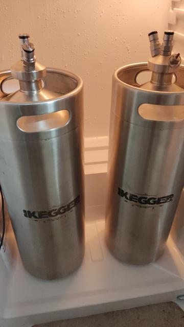 Two mini kegs in a fridge