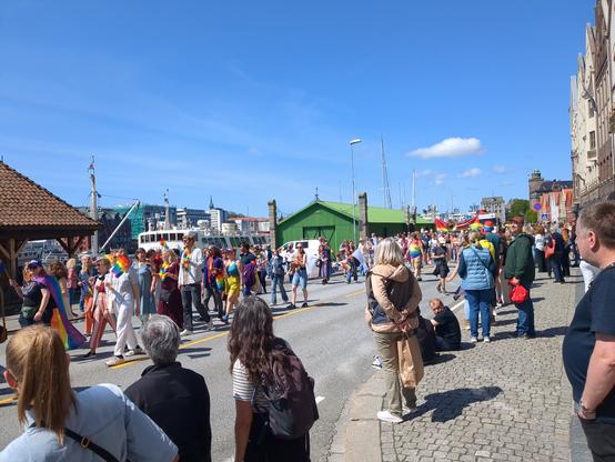 The image shows a large crowd of people participating in a Pride parade. The scene is vibrant and filled with colorful flags and banners. The event is taking place in Bergen, Norway, with various buildings and boats visible in the background. The people appear to be of various ages, and the atmosphere is celebratory.