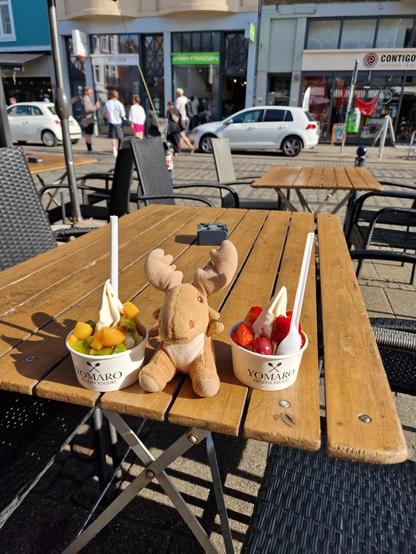 Mr Moose about to dive into oat frozen yogurt with fruit and salted caramel
