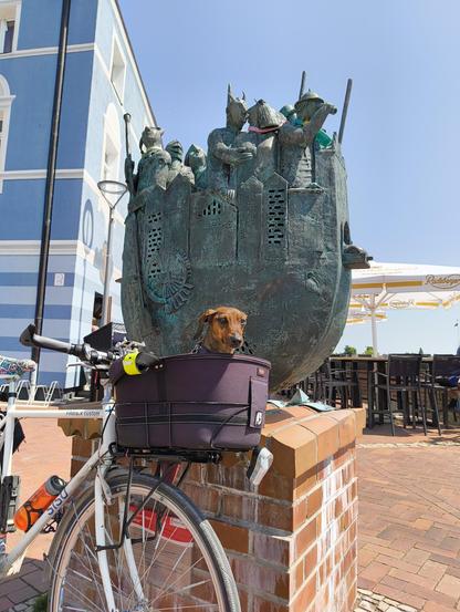 Fahrrad mit Effie im Körbchen vor dem Narrenschiff in Wittenberge. Das Narrenschiff ist eine bewegliche Bronzeplastik in Form eines hohen Schiffes. Oben an Deck stehen Figuren mit Ritterrüstung und verträumtem Blick. Eine Figur mit Hörnern greift einer weiblichen Figur an die Brust. Andere Figuren halten ein Paddel oder ein Fernglas in der Hand. Am Bug des Schiffes befindet sich ein Tor, aus dem die Schnauze eines VW Käfers herausschaut. Das Ensemble kann hin und her schaukeln und steht auf einem gemauerten Sockel. 
Dahinter befindet sich eine Pension und ein Café.