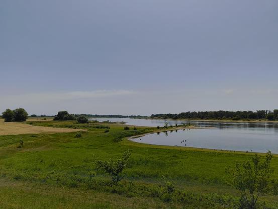 Blick vom Deich auf die Elbe bei Cumlosen. Der Wasserstand ist sehr niedrig, so dass die Buhnen weit herausragen und sich Sandbänke in Ufernähe zeigen. Das Deichvorland ist zum Teil angemäht und dort vergilbt. Die ungemähte Fläche ist noch grün.