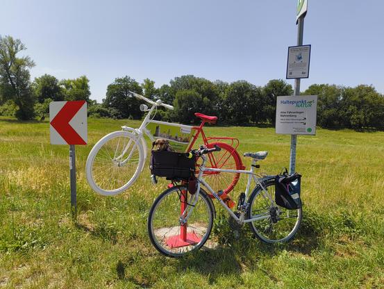 Hinweisschilder am Elberadweg auf der Höhe der ehemaligen Fähre Wahrenberg. Ein Haltepunkt Natur, der dem Schild einer Bushaltestelle nachempfunden ist und als Hinweis auf den Radweg ein altes Mifa-Rad, dass in den Brandenburger Farben rot und weiß lackiert ist. Mein Fahrrad mit Effie lehnt an diesem Rad. Im Hintergrund das Deichvorland mit einigem Laubbäumen.