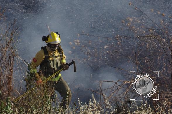 bombero con azada entre hierbas secas y suelo quemado en labores extinción incendio