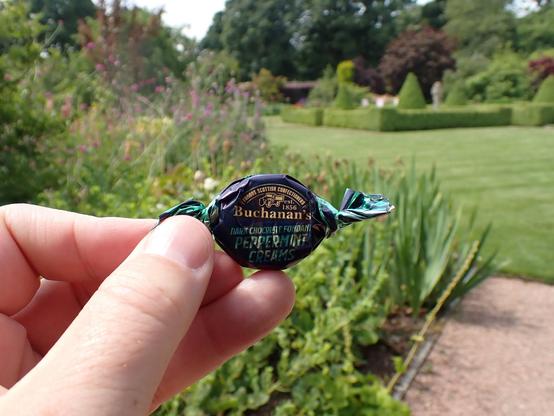 Photo is of the lovely walled garden at Castle Fraser where we spent 4 hrs today just enjoying doing not much. I'm holding a Buchanan's Dark Chocolate Peppermint Cream. It's about to get eat! I love these. Bit melty on a warm day though.