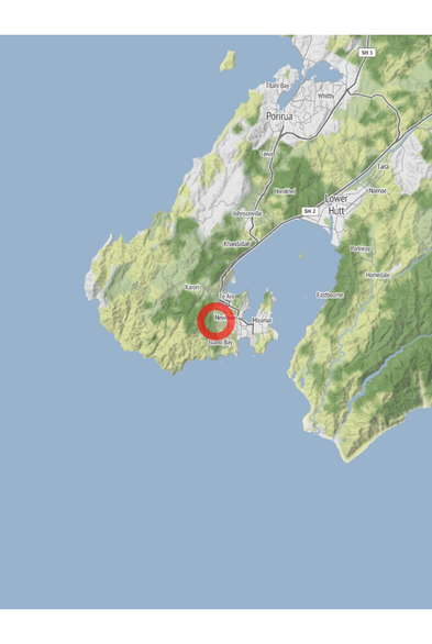 Map of the location of the observation: 46 Mana Street, Vogeltown, Wellington 6021, New Zealand, (latitude: -41.31, longitude: 174.77).