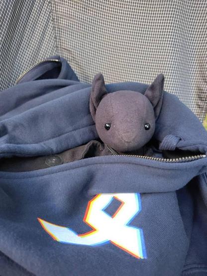 Ich, der eingekuschelte ft1, sitze eingeguschelt in einem GPN Hoodie in einem Campingstuhl.