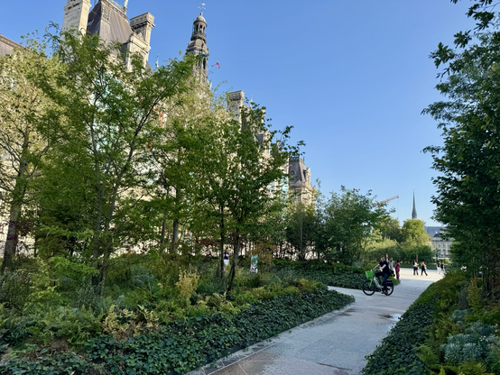 The path through the new urban forest, one of two on either side of the Square