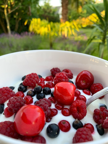 Joghurt mit Früchten aus dem Garten: Himbeeren, rote und schwarze Johannisbeeren und Kirschen. Im Hintergrund ein Garten.