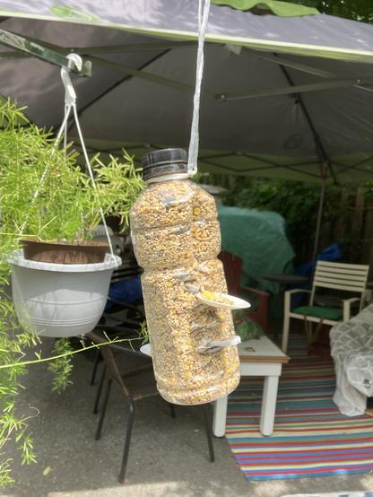 A clear plastic bottle with plastic spoons, inserted to create purchase and feeder access for birdseed