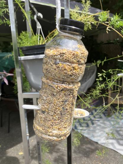 A clear plastic bottle with plastic spoons, inserted into it to create purchase and ledges for birdseed to come out hanging from a metal rack