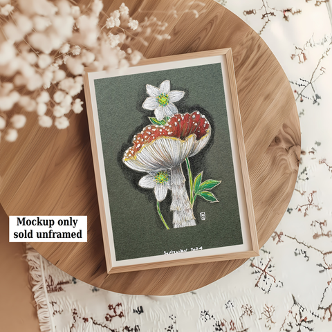 A colour drawing of a red and white Fly Agaric Mushroom with Wood Anemone, a little white wildflower. This drawing is in a cute illustrative style.
An original art work
Colour pencil and mixed media on acid free toned artist paper
5 by 7 inches (12.7 by 17.8 cm). This is a standard photo size in the UK and USA and should be easy to DIY frame.
Sold unframed