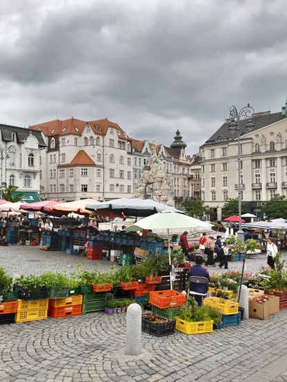 Stalls selling produce at a market in the center of Brno. In the front is the back of a woman sitting on a chair with in front of her lots of crates with plants. In the middle of the square, behind some stalls part of a large statue is visible. The sky is overcast.