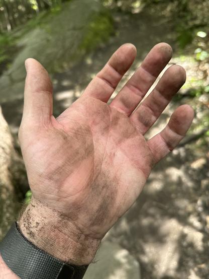 Picture of my hand covered in dirt after I slipped and fell earlier
- - -
Photo de la main après que j’ai glissé et tombé plus tôt.