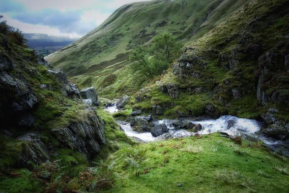 A narrow, rocky stream cascades through a lush, green mountain valley under a cloudy sky. Steep, grassy hills rise on either side, dotted with rocks and patches of trees and ferns. The water is a foamy white where it tumbles over rocks, contrasting with the dark, wet stone and vibrant green vegetation.