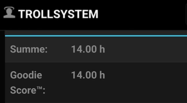 Screenshot aus dem Trollsystem mit der Summe Summe von 14h
