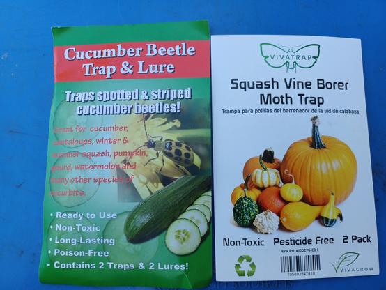 Close view of two paper labels, each about 3 x 5 inches (about 8 x 12 cm).  Left label is green and red with white and red lettering.  It says: "Cucumber Beetle Trap and Lure.  Traps spotted and striped cucumber beetles.  Ready to use, non-toxic, pesticide free."  The right label is white with black lettering and has photos of pumpkins and squash featured prominently.  In black lettering it says:  "Squash Vine Borer Moth Trap.  Non-toxic, pesticide free."
