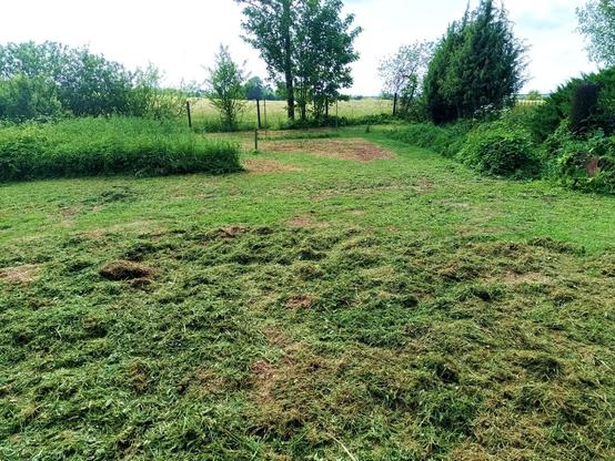 A garden area in the front, with lumpy mulched grass spread out on it. In the background a former goat pen, partially overgrown and partially cleared.