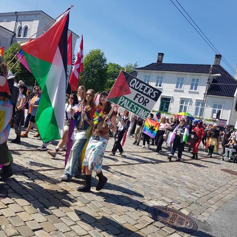 Real photograph from the pride parade in Bergen, Norway 21 June 2025. Palestinian flag and a sign with the text "Queers for Palestine". Real photographer: me.