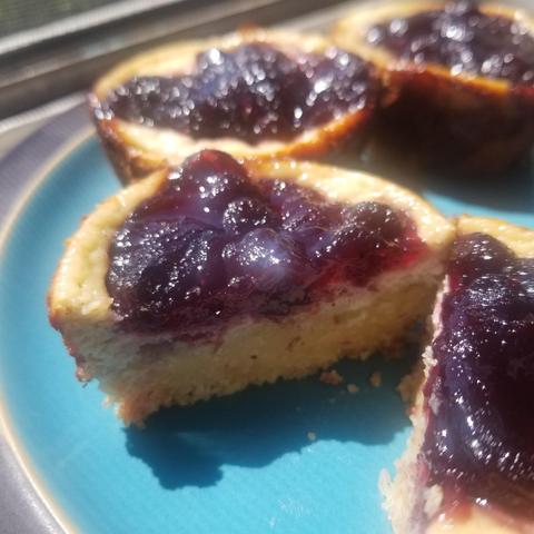 Photo of beautiful blueberry tarts on a turquoise plate.