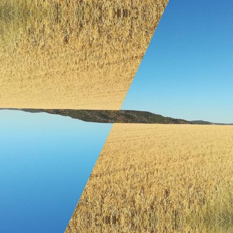 A symmetrical view of a wheat field and blue sky