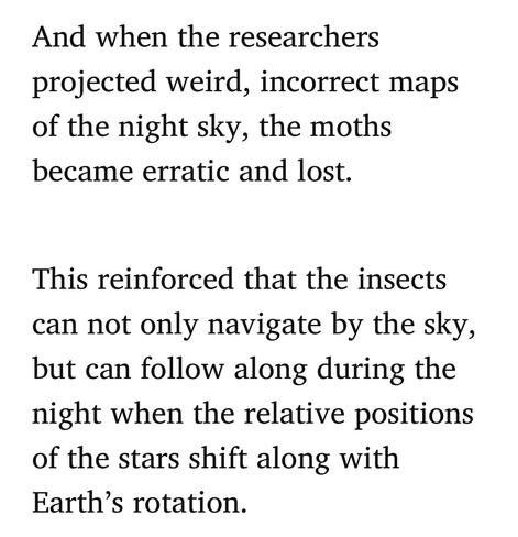 And when the researchers
projected weird, incorrect maps
of the night sky, the moths
became erratic and lost.

This reinforced that the insects
can not only navigate by the sky,
but can follow along during the
night when the relative positions
of the stars shift along with
Earth’s rotation.
