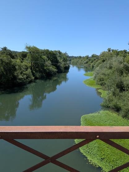 A flat expanse of river reflecting the sky and tall firs/redwoods.  Green floating material, and the rusty railing of Wohler Bridge in the fore.