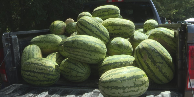 Newton County FFA hosts weekend farmer’s market
