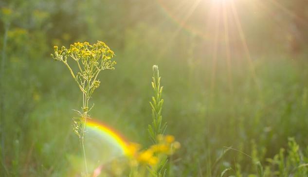 How to Control Your Fear of Death or Thanatophobia
