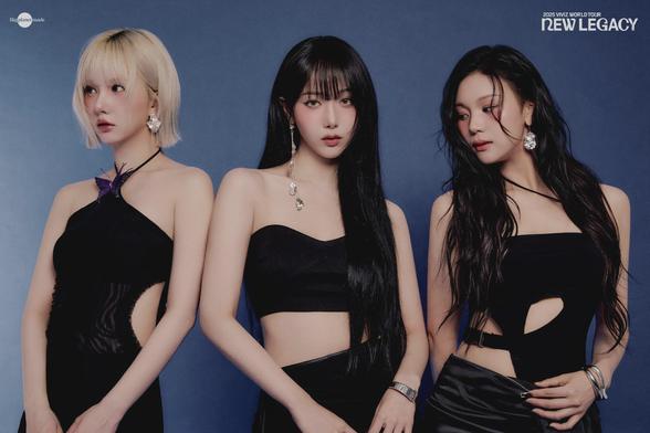 The image features three women standing side by side against a solid blue background. They are all dressed in black outfits, each with unique designs. The woman on the left has short blonde hair and is wearing a black halter-neck dress with a purple butterfly detail on the shoulder. The woman in the middle has long black hair and is wearing a black crop top with a cut-out design, paired with a high-waisted black skirt. The woman on the right has long black hair and is wearing a black dress with a cut-out design on the side. All three women are wearing large, statement earrings and have a serious expression on their faces. The text "2023 VIVIZ WORLD TOUR NEW LEGACY" is visible in the top right corner of the image.

Provided by @altbot, generated privately and locally using Ovis2-8B