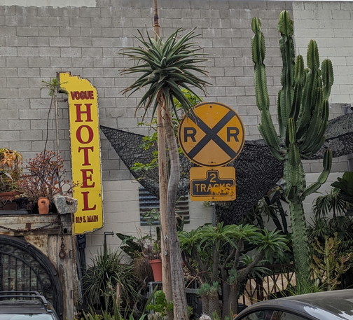 Cacti, signs and oddities in a parking lot