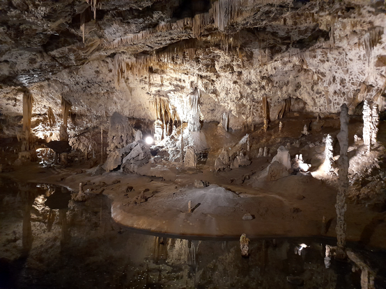 Inside a cave with lots of stalactites and stalagmites that are illuminated by a bright lamp. In the front is a pool from which several stalagmites are rising up.
